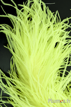 Autruche mèche  - 10 cm - jaune vif